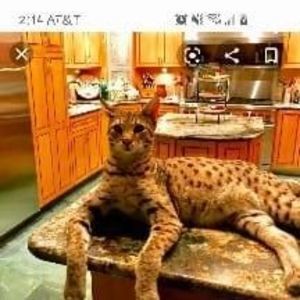 Meet your Posher, Matt